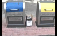Actividades familiares para el fin de semana por el día de las aves