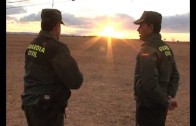 15 Detenidos en la provincia de Albacete