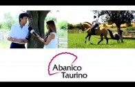 Abanico Taurino programa 24