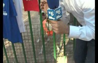 Albacete acoge la primera quedada de lebreles en el Parque Abelardo Sánchez