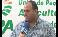 Vox reclama a Manuel Serrano que amortice la deuda del Ayuntamiento