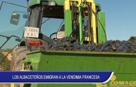 La Fiesta de los Mayos canta a la primavera en Albacete