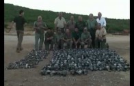 perdigones de plomo en la caza de aves