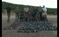 perdigones de plomo en la caza de aves