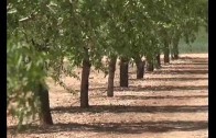 Veto con consecuencias en la agricultura regional