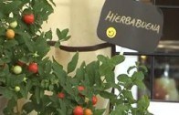Exhibición de Esgrima Antigua en el Pincho de la Feria