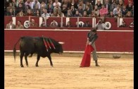 Corrida de toros a beneficio de Cáritas y el Cotolengo