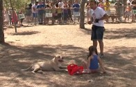 Al Fresco reportaje «I Encuentro canino»