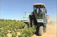 Los agricultores reciben hoy más ayudas de la PAC