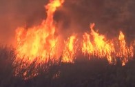 Un medio terrestre continúa trabajando en el incendio de Valdeganga
