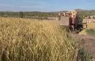 Albacete no pagará mas de un millón de euros por beber agua del Jucar