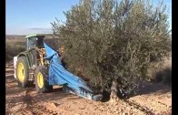 Ahorro en la factura de la luz en los pueblos de Albacete