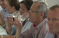 Carta de vinos para fomentar el turismo en la provincia