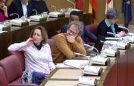 Los presupuestos de Albacete son un «bluf»