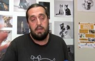 Cerca de 2.000 animales son recogidos en la calle cada año