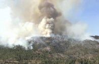 Extinguido el incendio forestal en Paterna del Madera