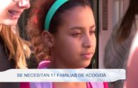 Se necesitan 11 familias de acogida