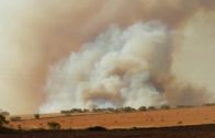 Controlado el incendio agrícola detectado en El Bonillo