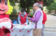 Cruz Roja alerta de una pobreza difícil de abandonar