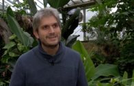 Nuevas especies de insectos  polinizadores en el Jardín Botánico