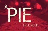 A Pie De Calle 29 de abril 2020 | Especial Hoya Gonzalo
