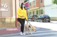 Día del perro guía: Las personas ciegas piden ayuda para garantizar los 2 metros de seguridad