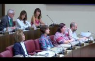 Cruce de acusaciones en el Pleno municipal de Albacete