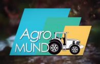 #8 Agromundo 23 de Enero de 2021