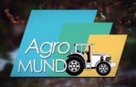 #16 Agromundo 20 de Marzo de 2021