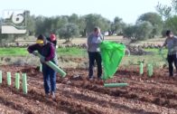 BREVES | 13 explotaciones agrarias se beneficiarán de la rebaja de la tributación