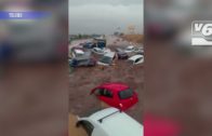 Las tormentas y la DANA causan estragos y daños en el campo