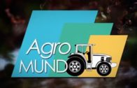 AGROMUNDO | Tomates de Liétor, repercusión de la crisis del cereal y actualidad agrícola y ganadera