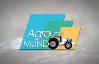 AGROMUNDO | Tomates de Liétor, repercusión de la crisis del cereal y actualidad agrícola y ganadera