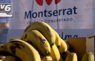 Desde el Colegio Concertado Montserrat recaudan fondos para los afectados por el volcán de La Palma