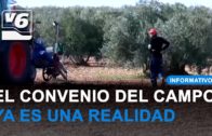 El convenio del campo en Albacete traerá una subida salarial del 2% y ayudas a la conciliación