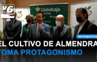 Primeras jornadas sobre el futuro y presente del mercado de la almendra en Albacete