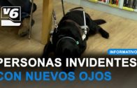 Un Día Internacional para conmemorar la importancia de los perros guía