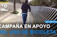 Actividades familiares para el fin de semana por el día de las aves