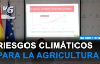 El viñedo de Castilla-La Mancha está en peligro a causa del cambio climático