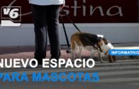 La calle Paz de Albacete contará con una área de esparcimiento para mascotas
