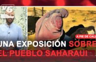 La Asociación de Amigos del Pueblo Saharaui rinde tributo al pintor Miguel Barnés
