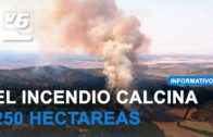 El incendio de Casas de Lázaro quema 250 hectáreas de encinas centenarias