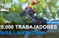 Actividades familiares para el fin de semana por el día de las aves