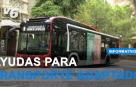 Ayudas para transporte público adaptado