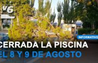 Fiestas en honor a la Virgen de Las Nieves en Chinchilla de Montearagón