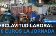 Condiciones de vida insalubres en asentamientos de Albacete