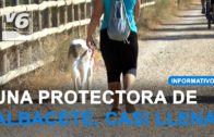 Actividades familiares para el fin de semana por el día de las aves