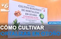 Mesa redonda sobre el cultivo ecológico de hortalizas en otoño en Albacete