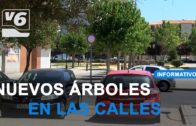 El Ayuntamiento de Albacete anuncia un nuevo plan de reposición de arbolado con 413 ejemplares