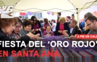 Fiesta de la Rosa del Azafrán en Santa Ana